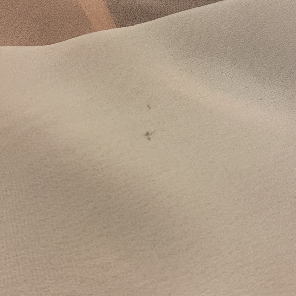 2 Sheer Blouses Banana Republic and Forever21 Bundle - Picture 7 of 7